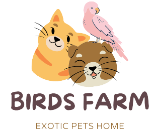 Exotic Pets & Parrots for sale